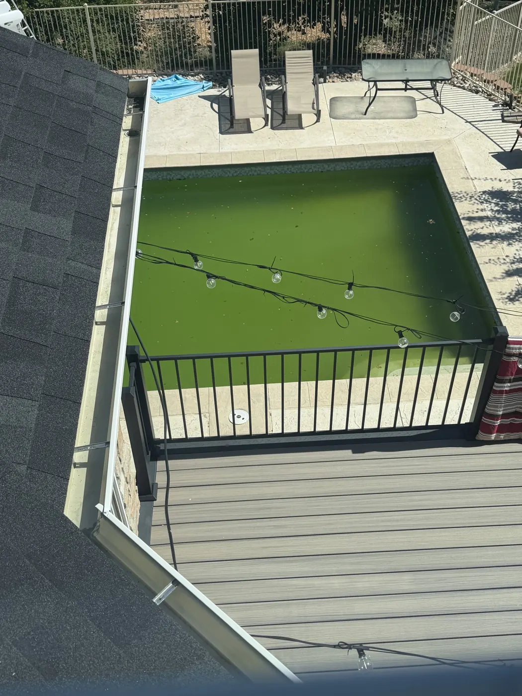 Before: bright green algae pool seen from above in Aurora, CO