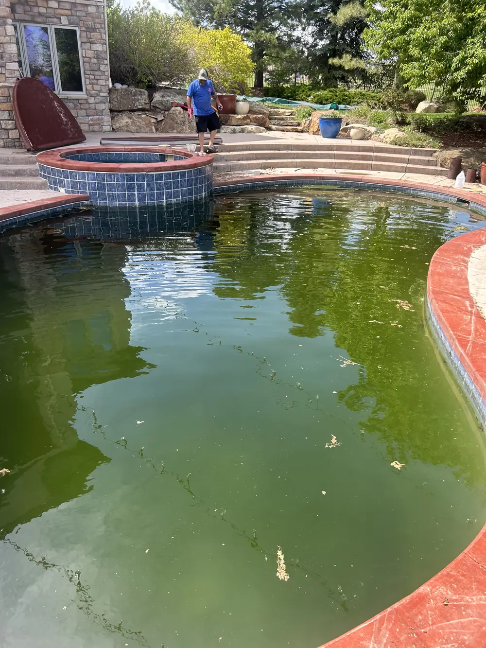 Green algae pool before a green-to-clean recovery near Castle Rock, CO