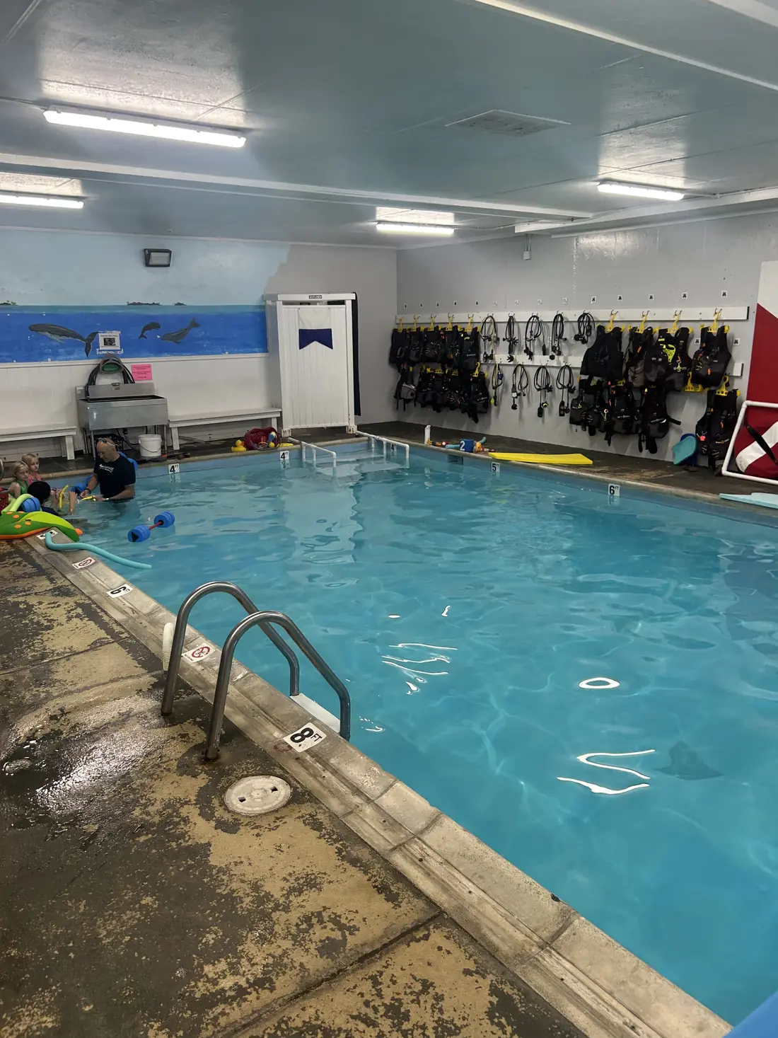 Indoor commercial training pool serviced by Pyle's in Lakewood, CO
