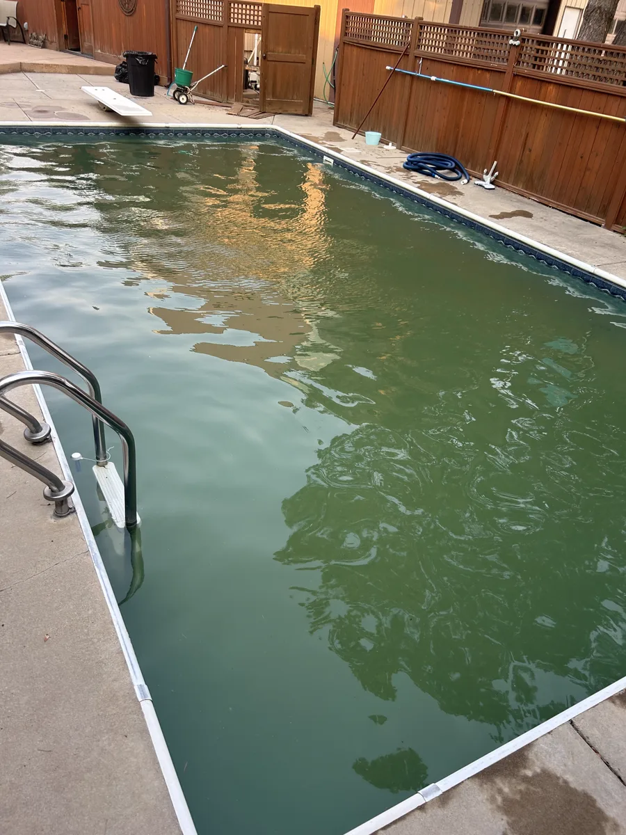 Green algae-filled pool before cleaning service in Parker, CO