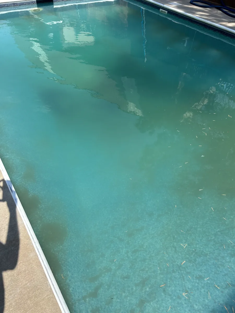 Pool water clearing from green to teal during algae treatment in Parker, CO