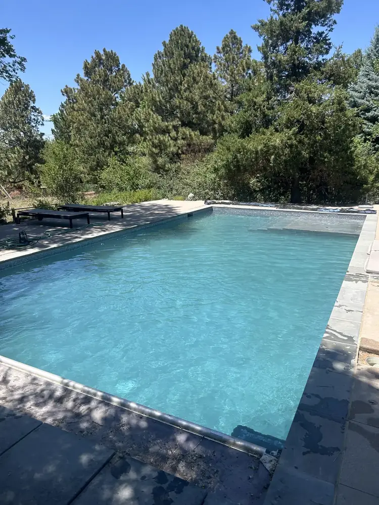 Crystal-clear rectangular pool framed by Colorado pines, maintained by Pyle's Pool & Spa Specialists